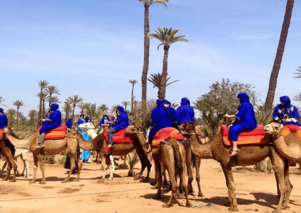 Camel Ride