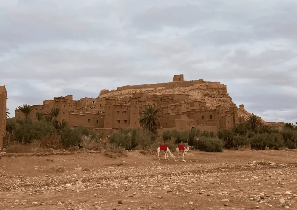 Marrakech to Sahara Desert tour