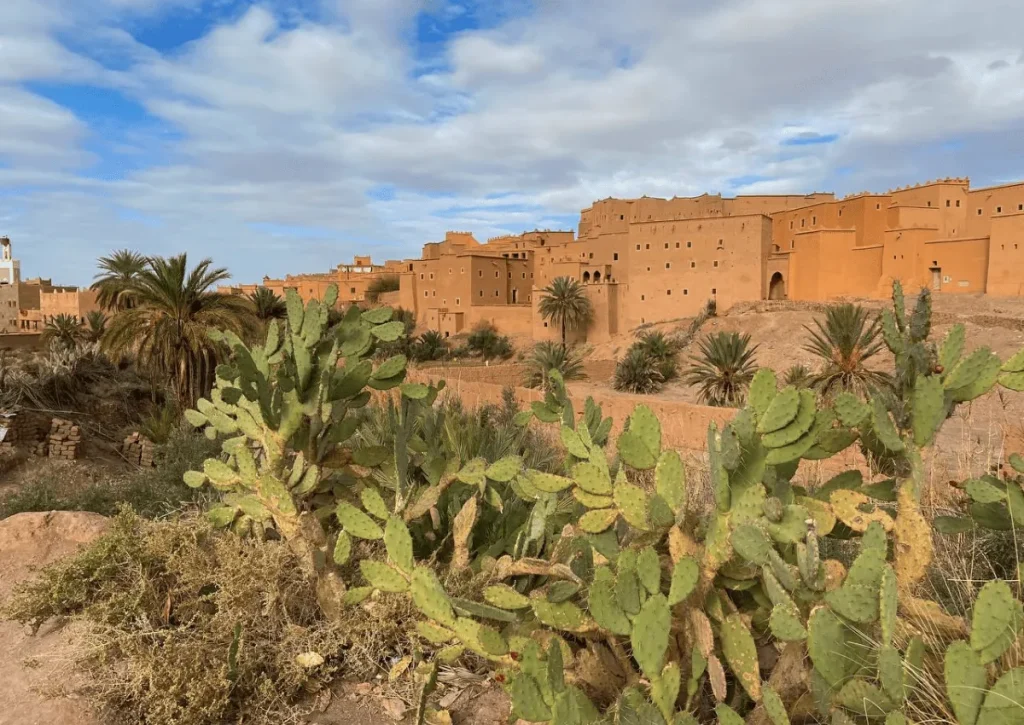 2 Day Desert Tour from Marrakech to Zagora
