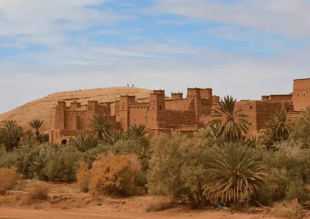 Zagora desert