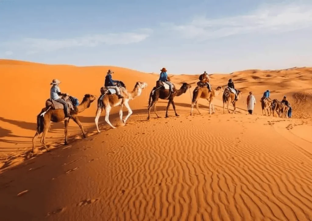 Explore Morocco