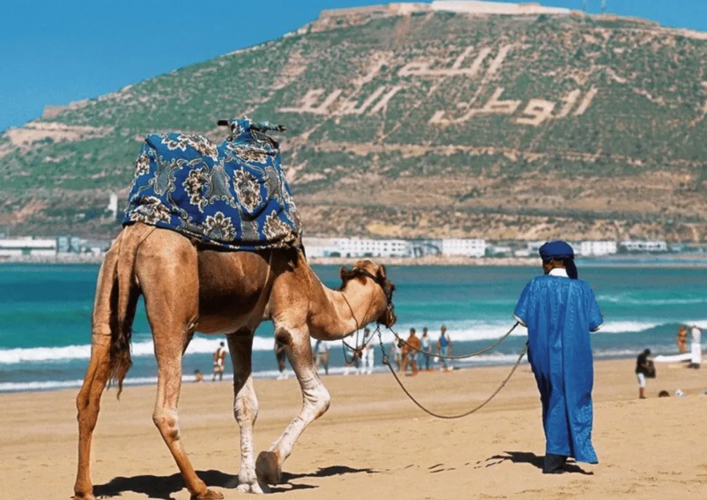 day trip from marrakech to agadir
