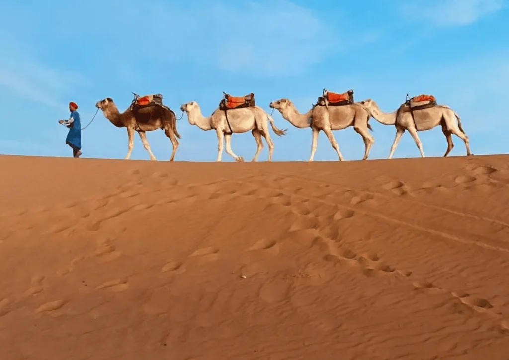 Private Desert Tour
