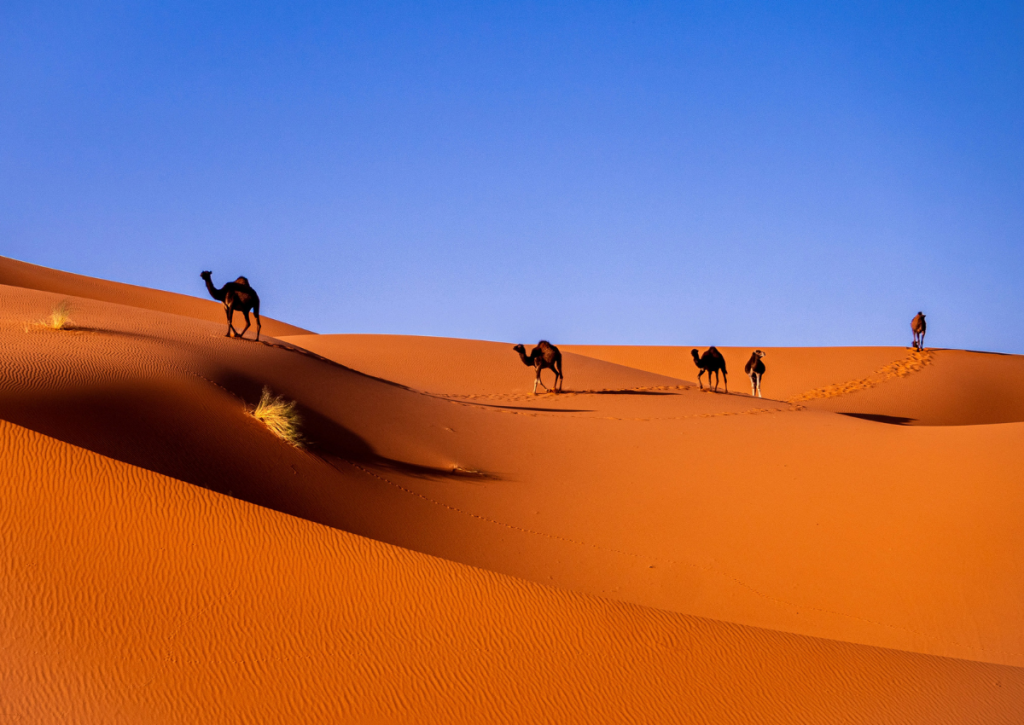 3 Days tour from Fes to merzouga