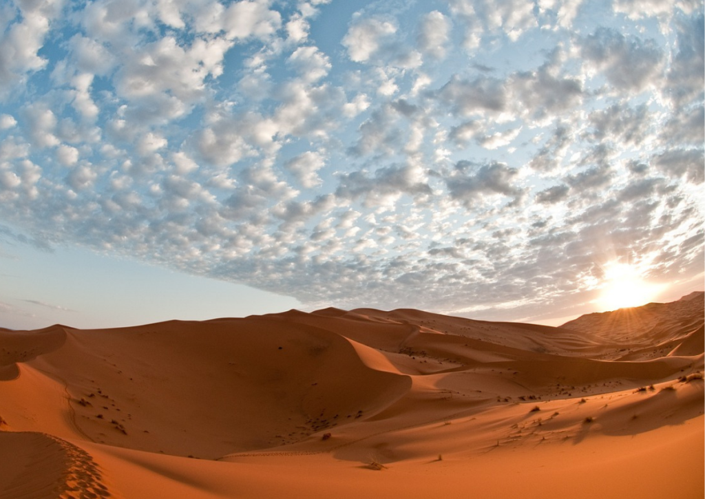 3 days excursion to the desert