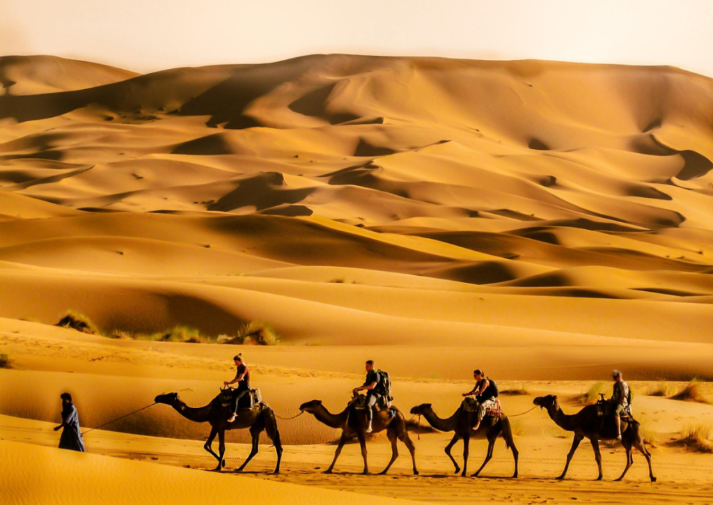 Fes to Marrakech Desert Tour