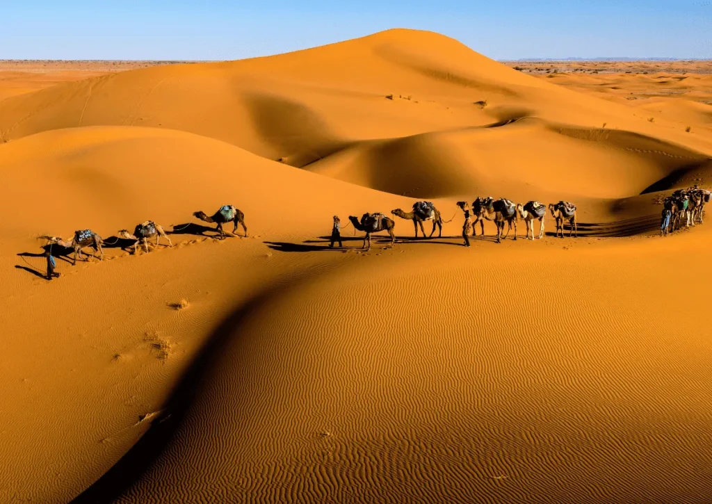 tour from Marrakech to Merzouga