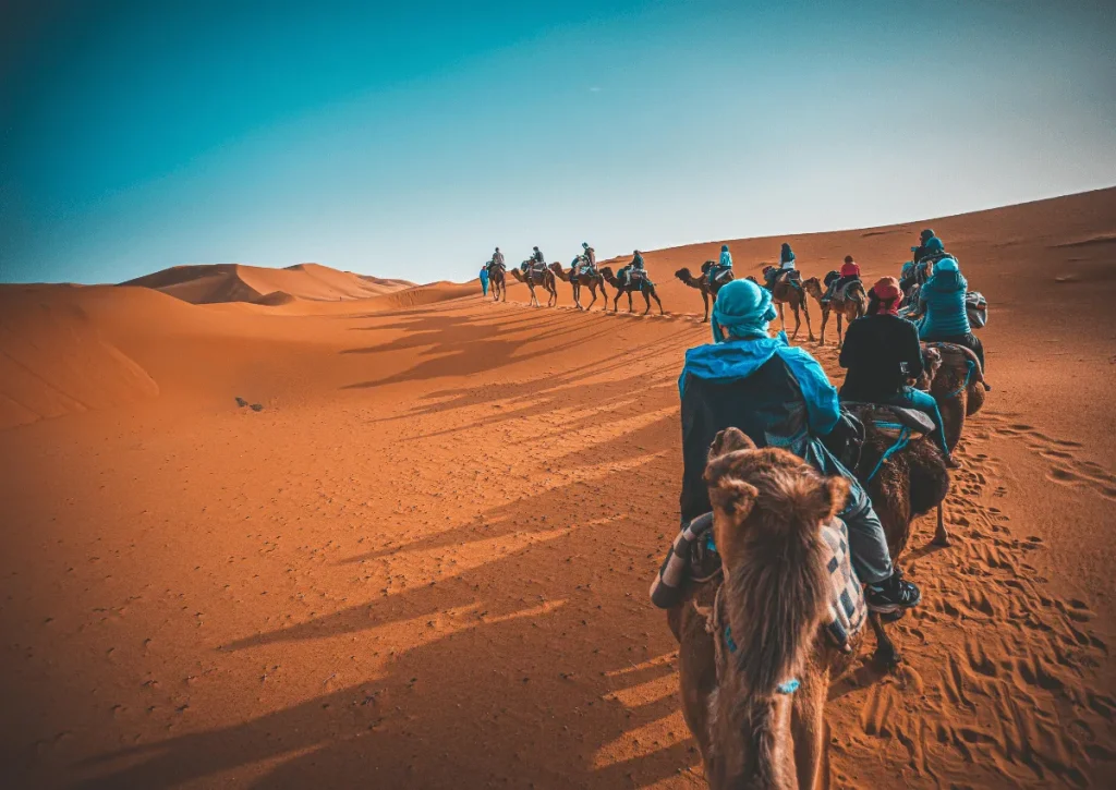 excursion to the desert from Fez