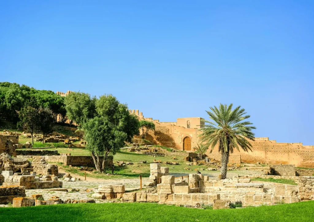 10 Days Trip From Rabat