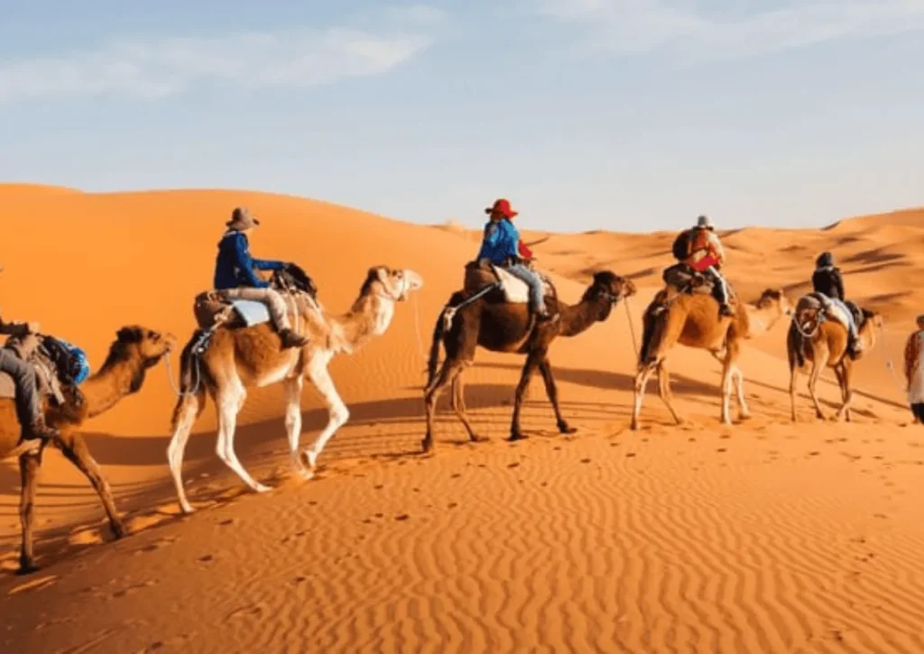 camel ride in the Sahara desert