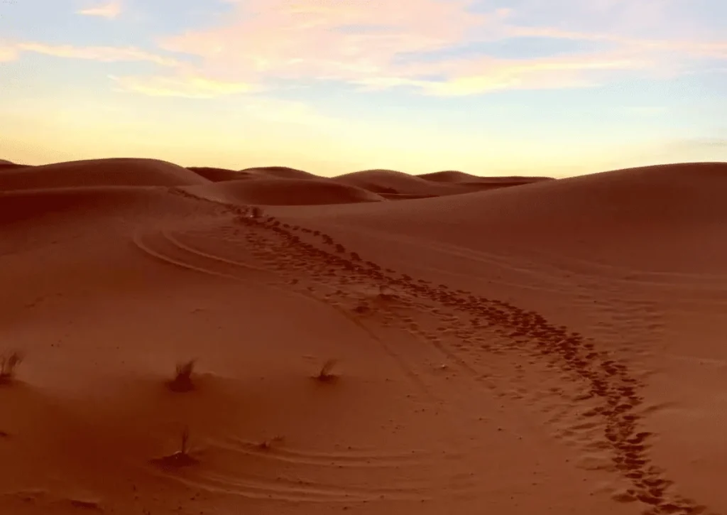 Marrakech to Merzouga Desert Tour